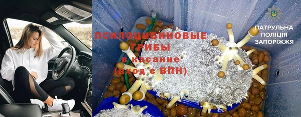 spice Алексеевка