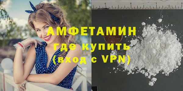 метадон Алексин