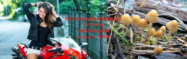 каннабис Алзамай